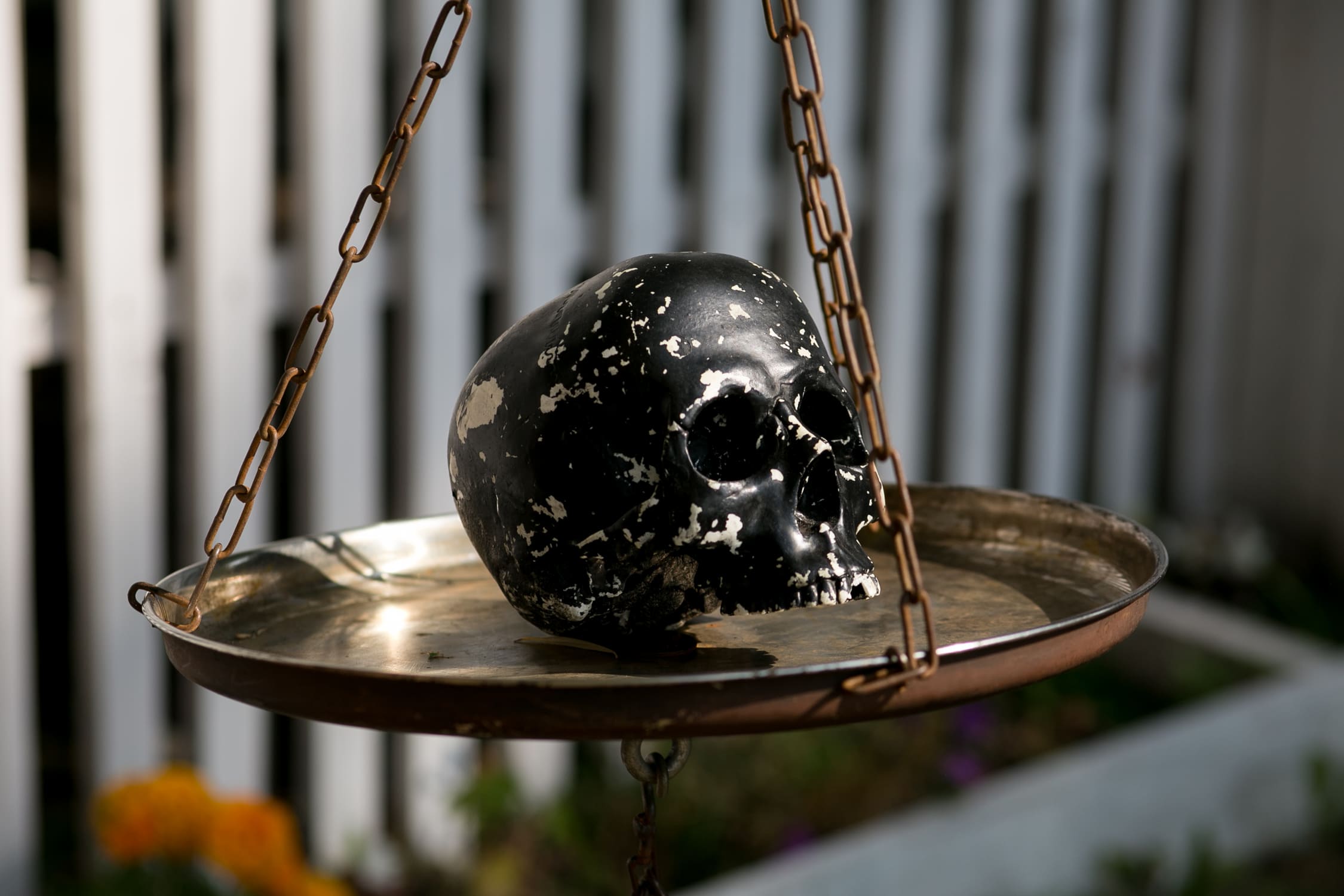 kognitivnye preimuschestva kvest komnat