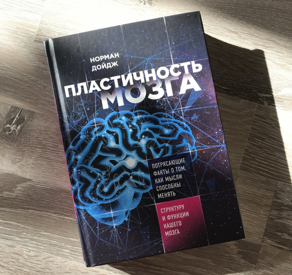 razvitie pamyati v kvest komnatah vzglyad na neyroplastichnost